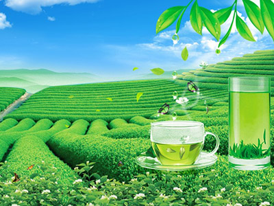 RFID系统在茶叶制品各个环节的应用